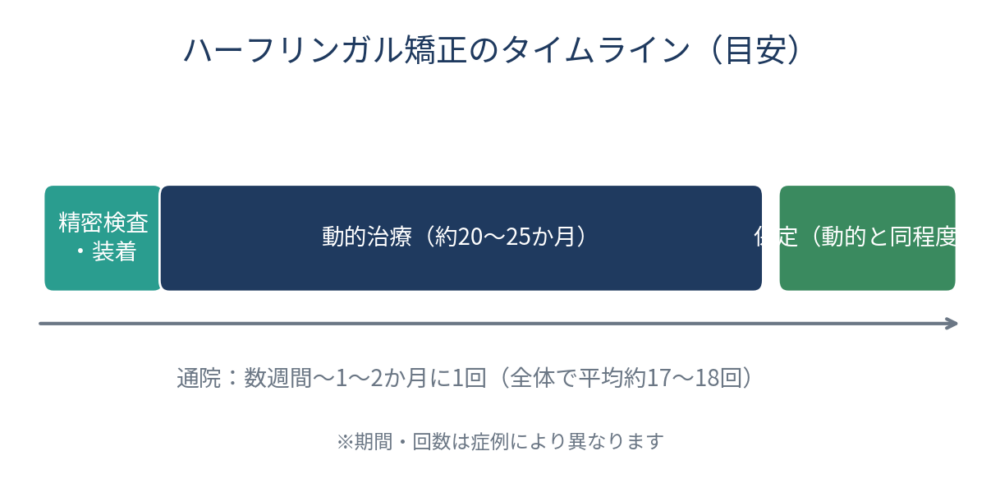 ![ハーフリンガル矯正のタイムラインを示す横帯の図。精密検査・装置装着から動的治療（約20〜25か月）、保定期間へと続く流れと、通院間隔（数週間〜1〜2か月に1回・全体で平均約17〜18回）を帯上に配置。]