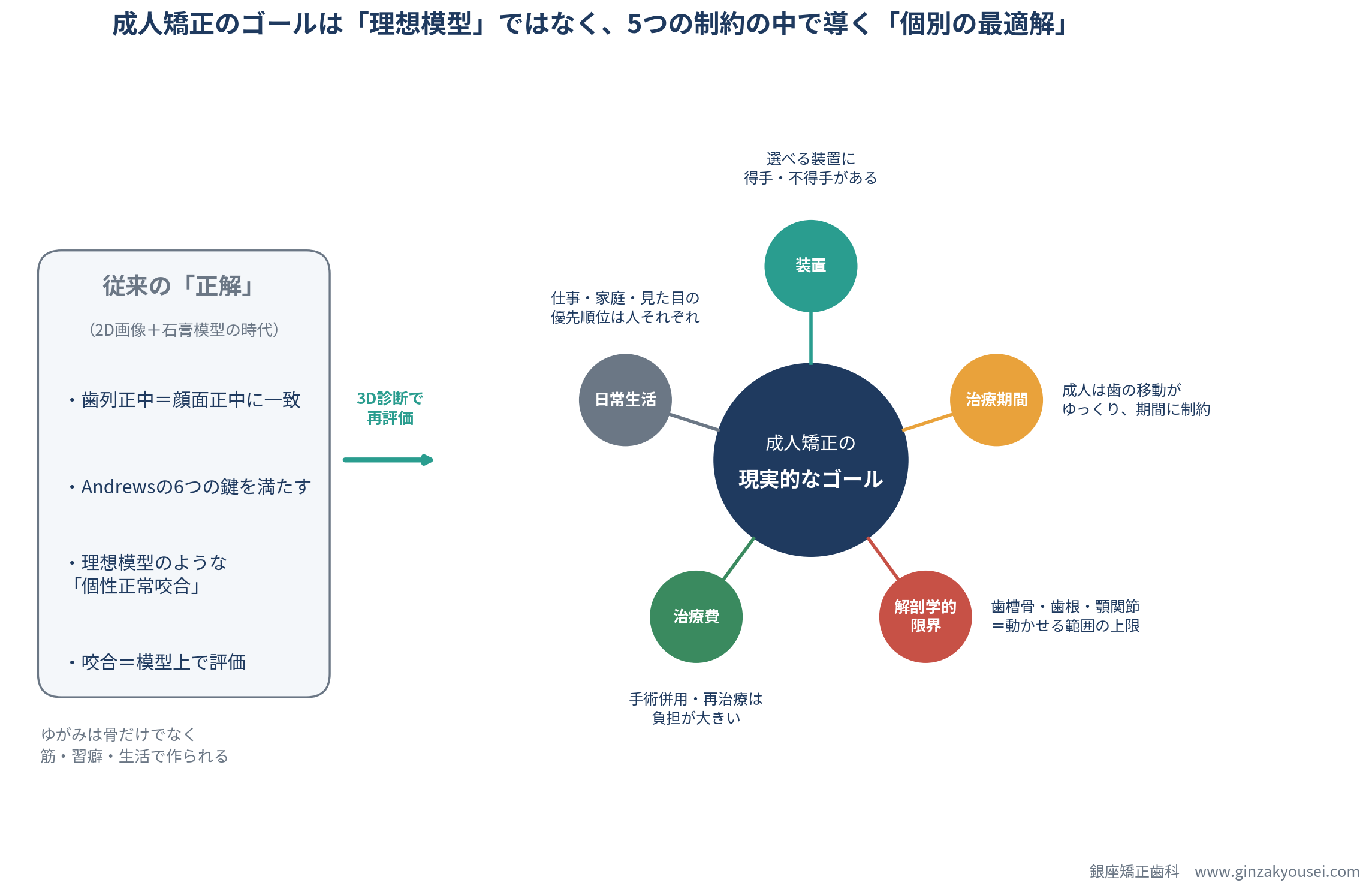 成人矯正のゴールは理想模型ではなく5つの制約の中で導く個別の最適解であることを示す概念図。左に従来の正解(正中一致・Andrewsの6つの鍵・個性正常咬合・模型上での評価)、右に装置・治療期間・解剖学的限界・治療費・日常生活の5つの制約が「成人矯正の現実的なゴール」を取り囲む