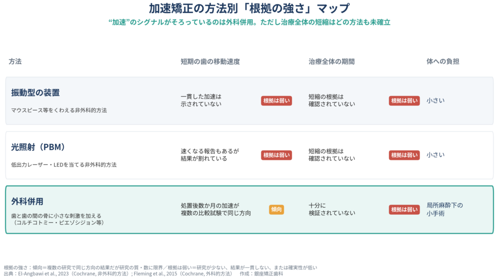 加速矯正の方法別に根拠の強さを整理した表。振動型の装置は、短期の歯の移動速度について一貫した加速は示されておらず根拠は弱い、治療全体の期間の短縮も根拠は弱い、体への負担は小さい。光照射（PBM）は、短期に速くなる報告もあるが結果が割れていて根拠は弱い、治療全体の期間の短縮も根拠は弱い、負担は小さい。外科併用（コルチコトミー・ピエゾシジョン等）は、処置後数か月の加速が複数の比較試験で同じ方向に報告され傾向、治療全体の期間は十分に検証されておらず根拠は弱い、局所麻酔下の小手術となる。出典はCochraneレビュー（El-Angbawi 2023、Fleming 2015）。